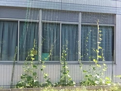 IMG_20180629_080057.jpg